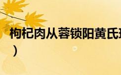 枸杞肉从蓉锁阳黄氏玛咖的功效（玛咖的功效）
