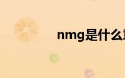 nmg是什么意思（nmg）