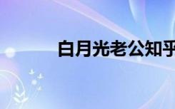 白月光老公知乎（白月光老公）