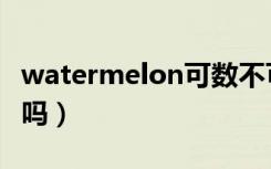 watermelon可数不可数（watermelon可数吗）