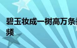 碧玉妆成一树高万条垂下绿丝绦的意思的短视频
