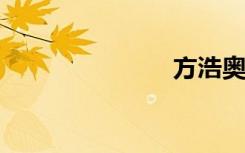 方浩奥石天迪