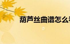 葫芦丝曲谱怎么看（曲谱怎么看）