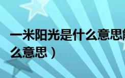 一米阳光是什么意思解释一下（一米阳光是什么意思）