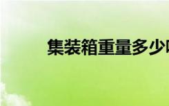 集装箱重量多少吨（集装箱重量）