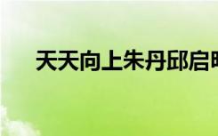 天天向上朱丹邱启明（天天向上 朱丹）