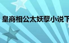 皇商相公太妖孽小说下载（皇商相公太妖孽）