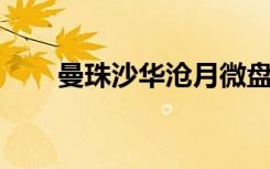 曼珠沙华沧月微盘（曼珠沙华 沧月）