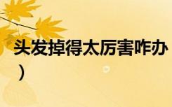头发掉得太厉害咋办（头发掉的太厉害怎么办）