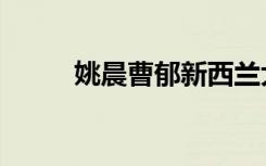 姚晨曹郁新西兰大婚（姚晨大婚）