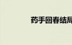 药手回春结局（药手回春）