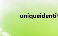 uniqueidentity（uniqueid）