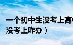 一个初中生没考上高中怎么办呢（初中考高中没考上咋办）