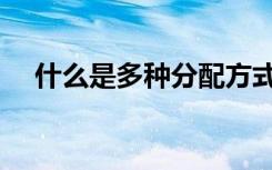 什么是多种分配方式（什么是按劳分配）