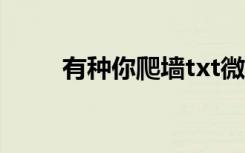 有种你爬墙txt微盘（有种你爬墙）