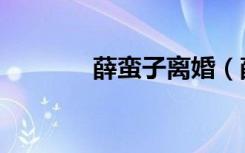 薛蛮子离婚（薛蛮子的老婆）