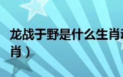 龙战于野是什么生肖动物（龙战于野是什么生肖）