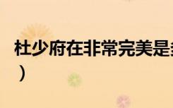 杜少府在非常完美是多少期（非常完美杜少甫）
