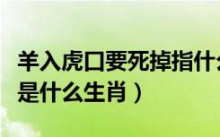 羊入虎口要死掉指什么生肖（羊入虎口命归西是什么生肖）
