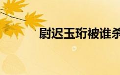 尉迟玉珩被谁杀的（尉迟玉珩）