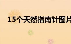15个天然指南针图片（15个天然指南针）