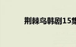 荆棘鸟韩剧15集（荆棘鸟韩剧）