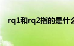 rq1和rq2指的是什么（rqfii是什么意思）