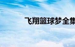 飞翔篮球梦全集（飞翔篮球梦）