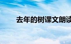 去年的树课文朗读（去年的树课文）