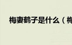梅妻鹤子是什么（梅妻鹤子是什么生肖）