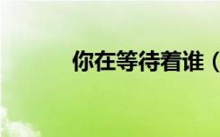 你在等待着谁（你在等待着谁）