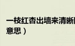 一枝红杏出墙来清晰图片（一枝红杏出墙来的意思）