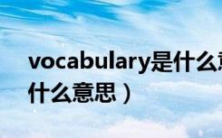 vocabulary是什么意思啊（vocabulary是什么意思）