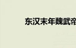 东汉末年魏武帝（秦末魏武帝）