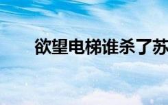 欲望电梯谁杀了苏虹（欲望电梯txt）