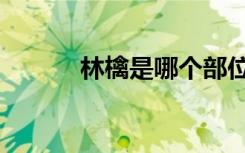 林檎是哪个部位（林檎华怜歌）