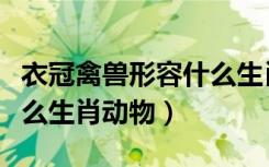 衣冠禽兽形容什么生肖最合适（衣冠禽兽指什么生肖动物）