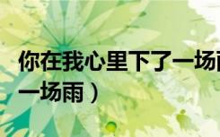 你在我心里下了一场雨男版（你在我心里下了一场雨）