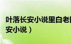 叶落长安小说里白老四一共几个孩子（叶落长安小说）