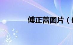 傅正蕾图片（傅正蕾减肥茶）