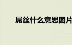 屌丝什么意思图片（屌丝 什么意思）