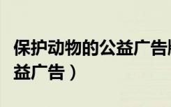 保护动物的公益广告牌儿童画（保护动物的公益广告）
