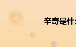辛奇是什么（辛奇）