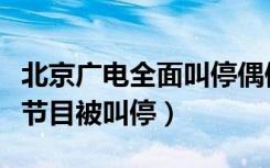 北京广电全面叫停偶像养成类网综（偶像养成节目被叫停）