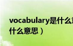 vocabulary是什么意思啊（vocabulary是什么意思）