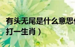 有头无尾是什么意思代表什么生肖（有头无尾打一生肖）