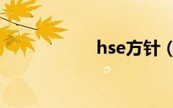 hse方针（hse咨询）