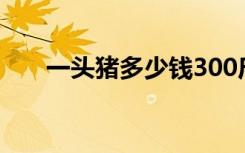 一头猪多少钱300斤（一头猪多少钱）