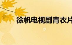 徐帆电视剧青衣片段（徐帆电视剧）