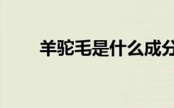 羊驼毛是什么成分（羊驼毛是什么）